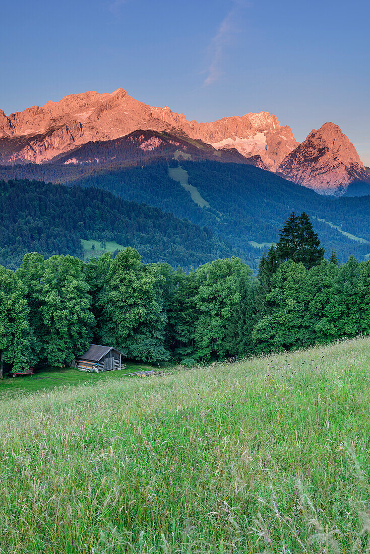 Meadow with haystacks, Wetterstein with Alpspitze, Zugspitze and Waxensteine in background, Werdenfels, Garmisch-Partenkirchen, Wetterstein, Upper Bavaria, Bavaria, Germany