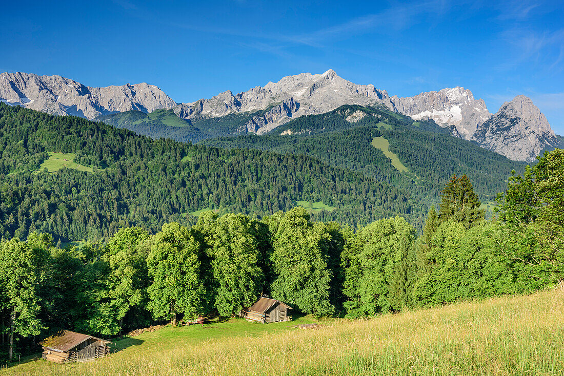 Meadow with haystacks, Wetterstein with Alpspitze, Zugspitze and Waxensteine in background, Werdenfels, Garmisch-Partenkirchen, Wetterstein, Upper Bavaria, Bavaria, Germany