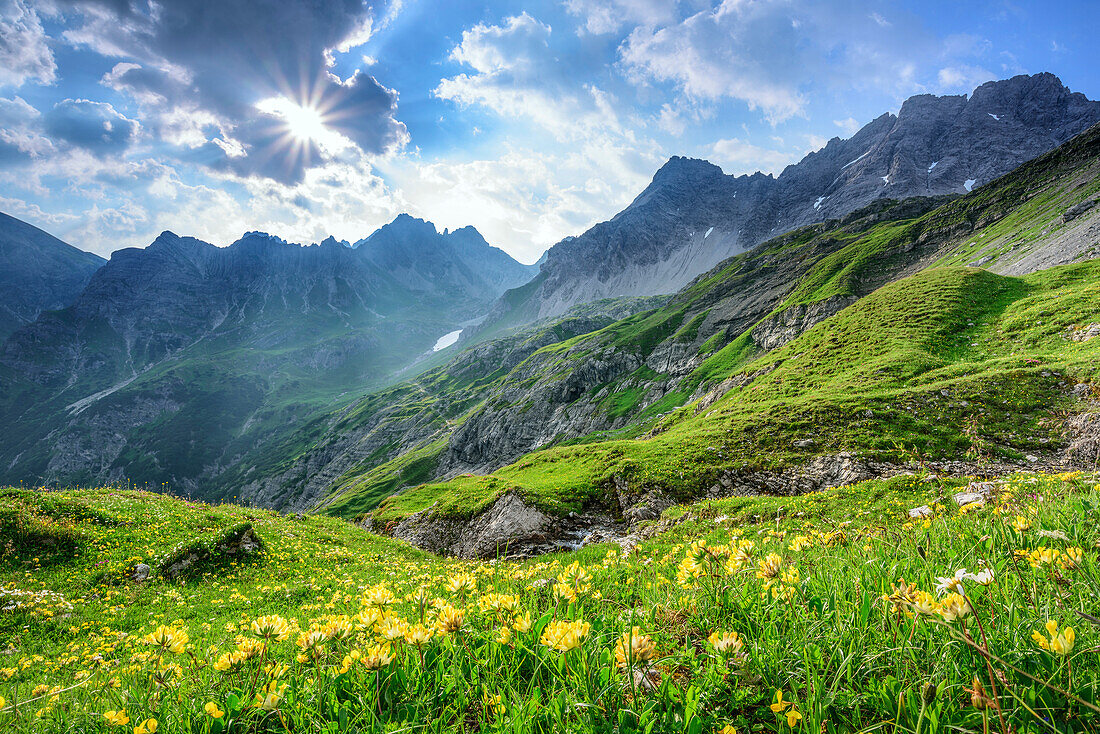Blumenwiese mit Lechtaler Alpen im Hintergrund bei Wolkenstimmung, Lechtaler Alpen, Tirol, Österreich