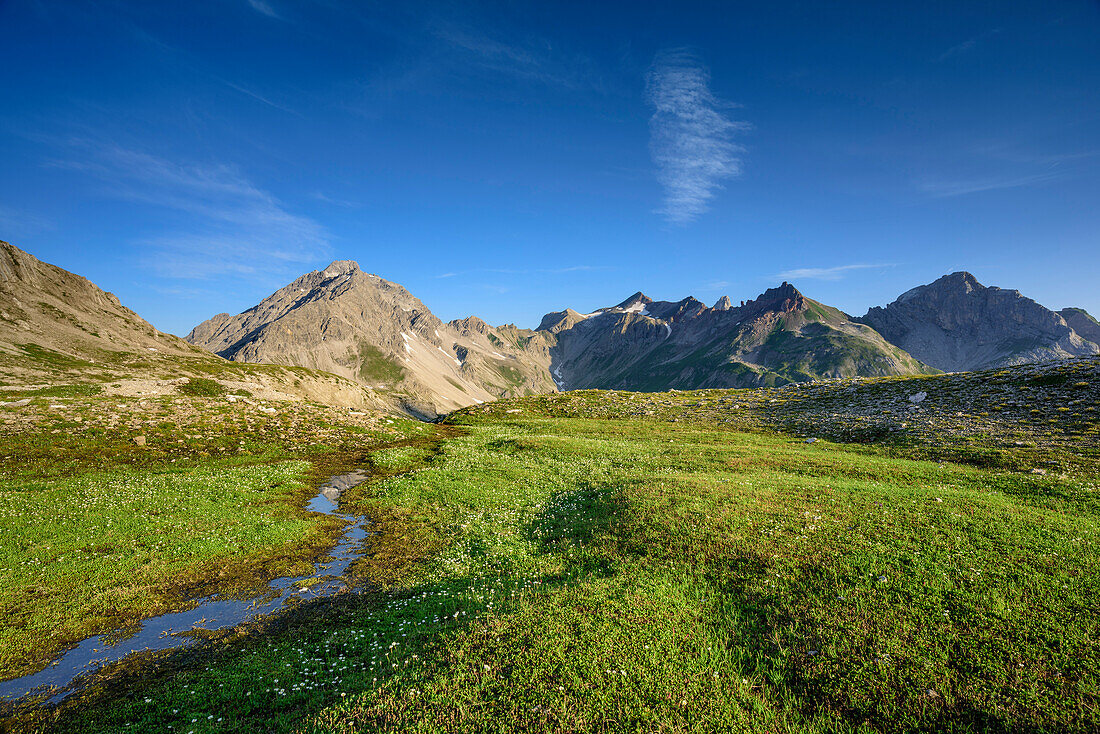 Wiese mit Vorderseespitze, Feuerspitze und Fallenbacherspitze im Hintergrund, Lechtaler Alpen, Tirol, Österreich