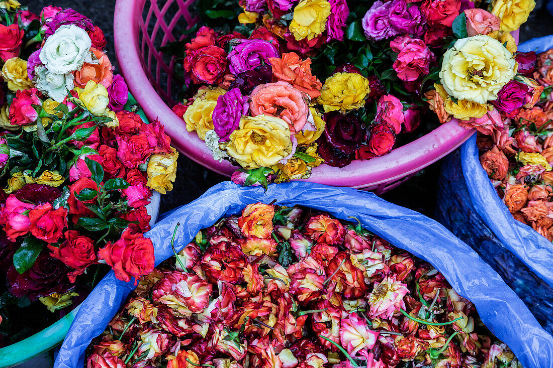 Close up of buckets of flowers for sale in market, Madurai, Tamil Nadu, India