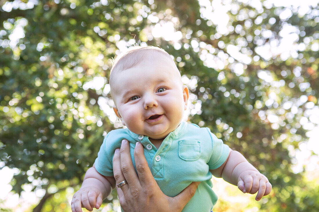 Caucasian baby lifted in air outdoors, Los Angeles, California, USA