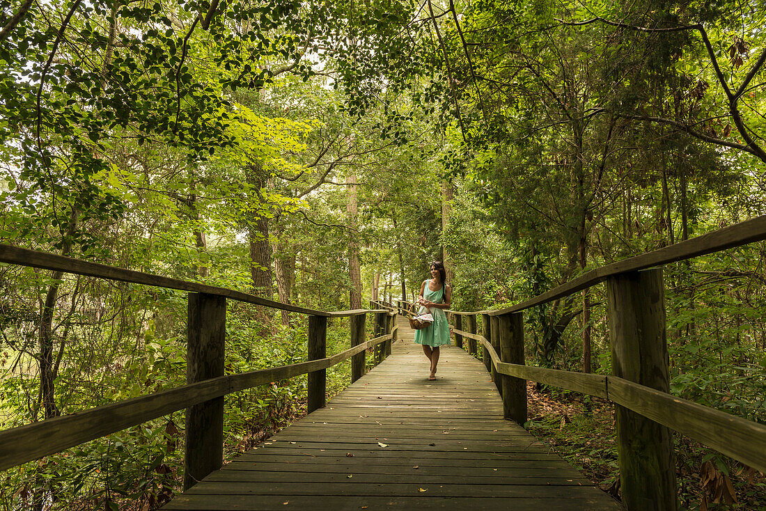 Hispanic woman walking on wooden footbridge in forest, Virginia Beach, VA, USA