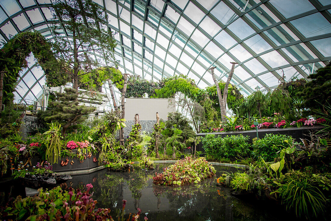 Ornate garden in greenhouse, Singapore, Republic of Singapore, Republic of Singapore