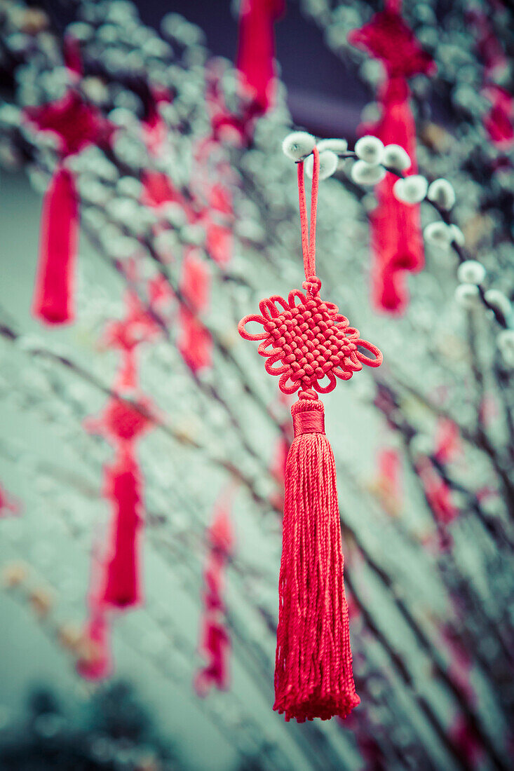 Decorations hanging from plants, Singapore, Republic of Singapore, Republic of Singapore