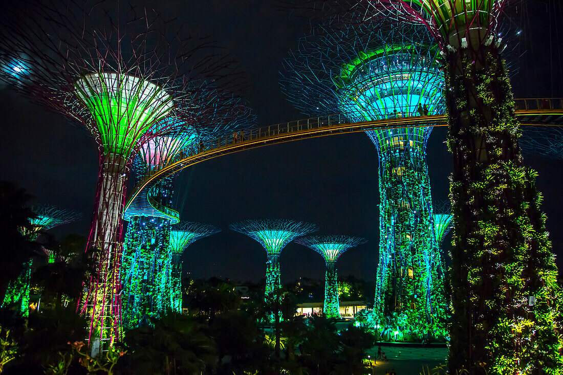 Electric supertrees lit up at night, Singapore, Republic of Singapore, Singapore, Republic of Singapore, Republic of Singapore