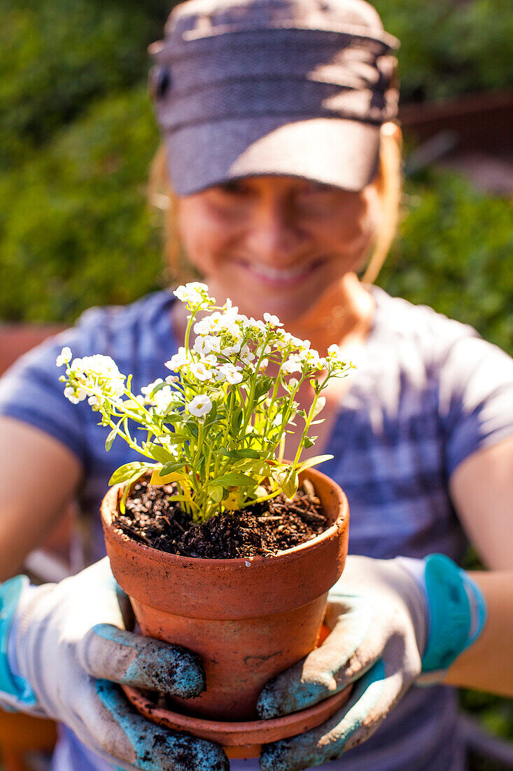 Caucasian woman potting plants outdoors, Oakland, California, United States