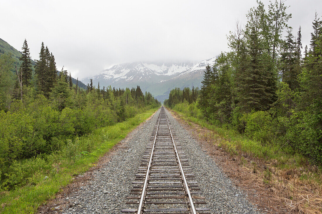 Train tracks in rural landscape, Anchorage, Alaska- Denali National Park, USA