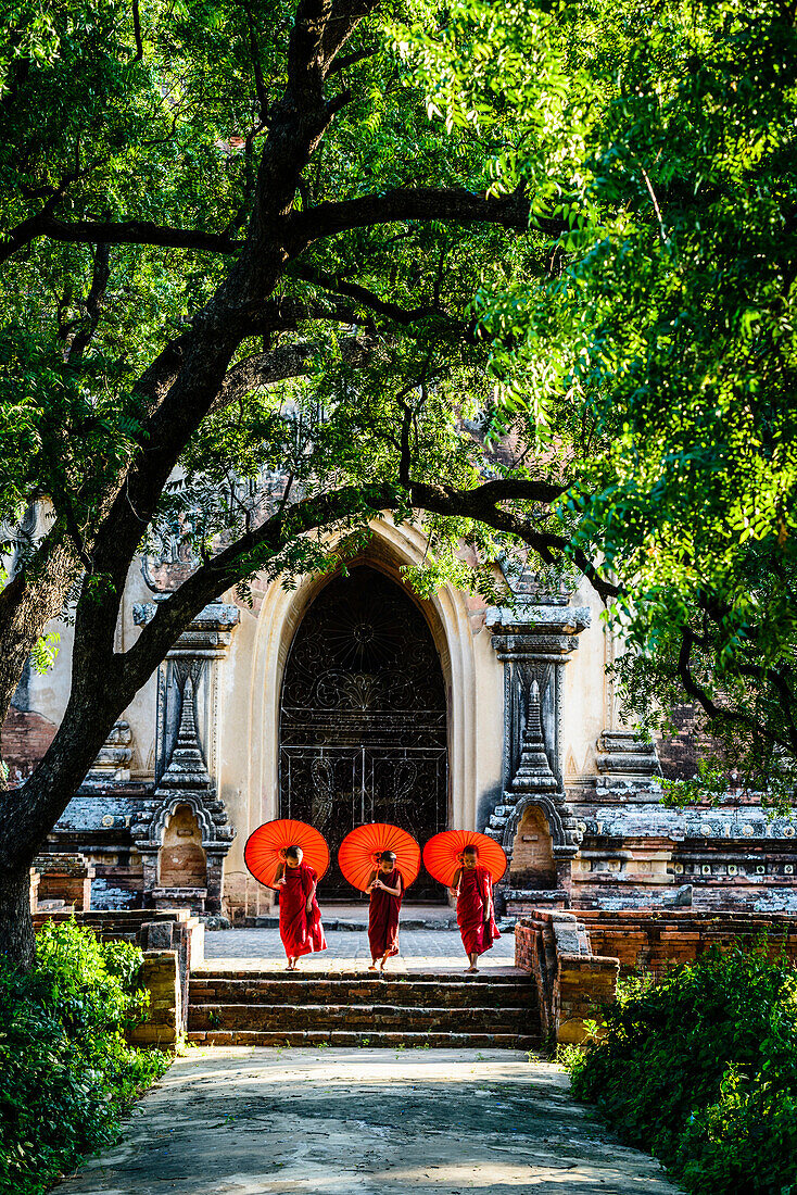 Asian Buddhist monks carrying umbrellas on staircase at Hsinbyume Pagoda, Mandalay, Sagaing, Myanmar, C1