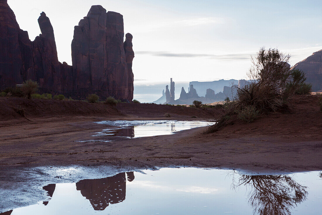 Rock formations overlooking puddles in desert landscape, Monument Valley, Utah, United States, Monument Valley, Utah, USA