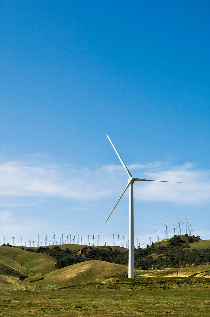 Wind turbines lining hilltop in rolling landscape, Tehachapi, California, United States