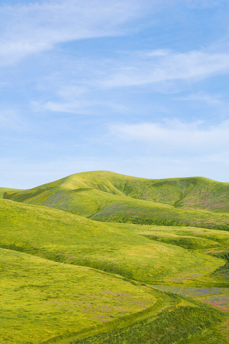 Hills and blue sky in rolling landscape, Keene, California, United States