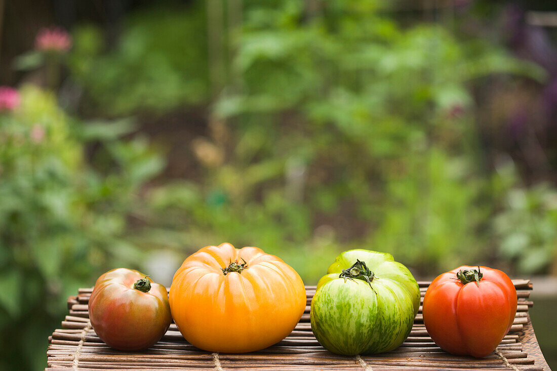 Colorful heirloom tomatoes on table outdoors, Miami Beach, Florida, United States