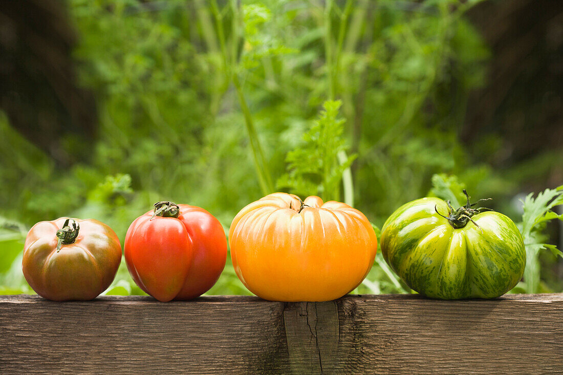 Colorful heirloom tomatoes on banister outdoors, Miami Beach, Florida, United States