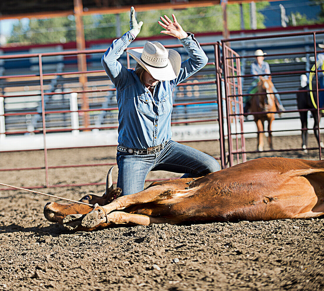 Caucasian cowboy tying cattle in rodeo on ranch, Joseph, Oregon, USA