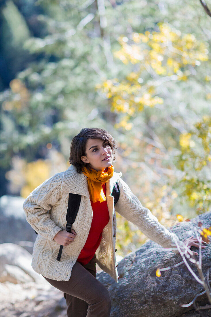 Mixed race hiker exploring forest, Santa Fe, New Mexico, USA