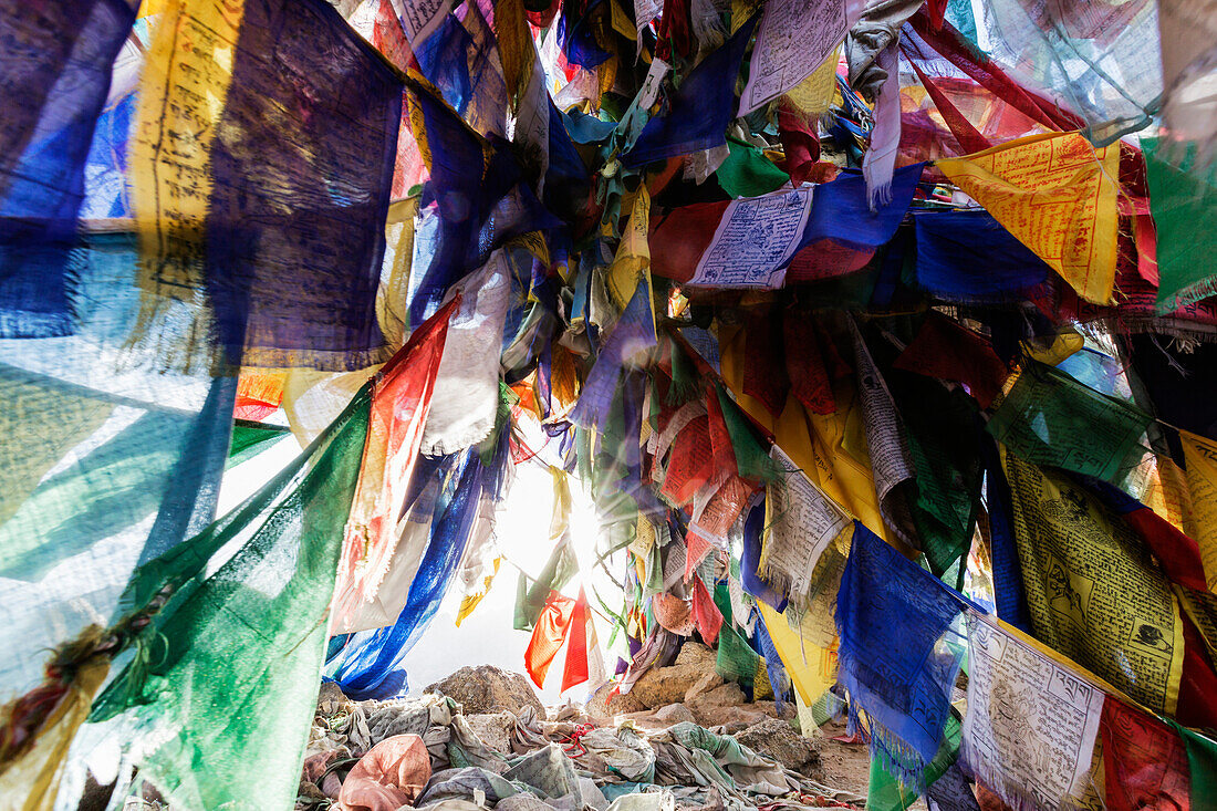 Low angle view of colorful prayer flags, Leh, Ladakh, India