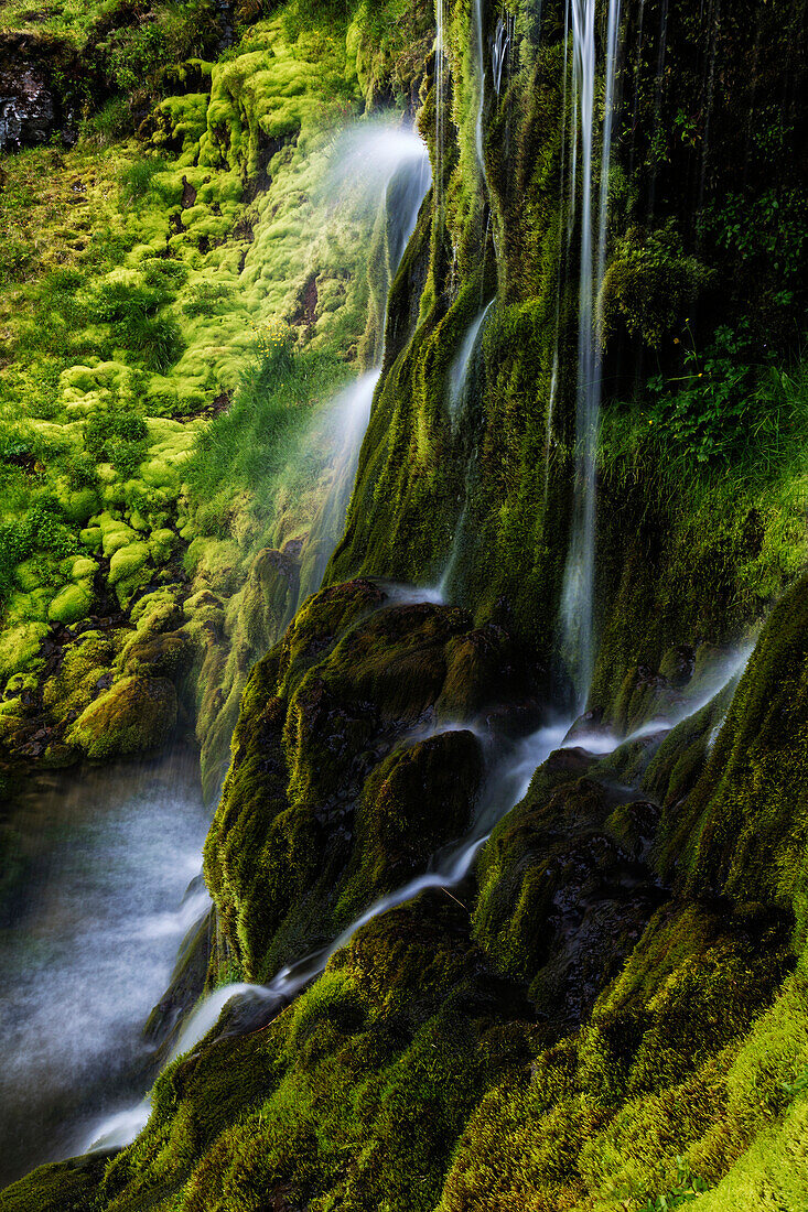 Waterfall flowing over mossy cliff, Breidavik, Iceland, Iceland