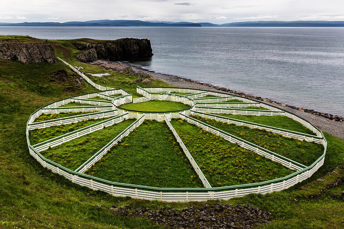 High angle view of sheep pens on rural cliff, Hvammstangi, Iceland, Iceland