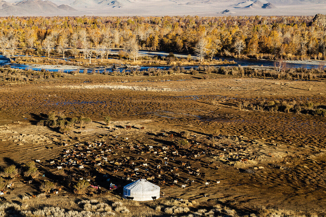 Aerial view of nomadic campsite in rocky remote landscape, Ulgii, Bayan Ulgii, Mongolia