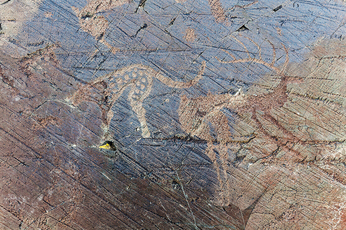 Close up of petroglyphs on rock formations, Altai Tavn Bogd National Park, Bayan Ulgii, Mongolia, Altai Tavn Bogd National Park, Bayan Ulgii, Mongolia
