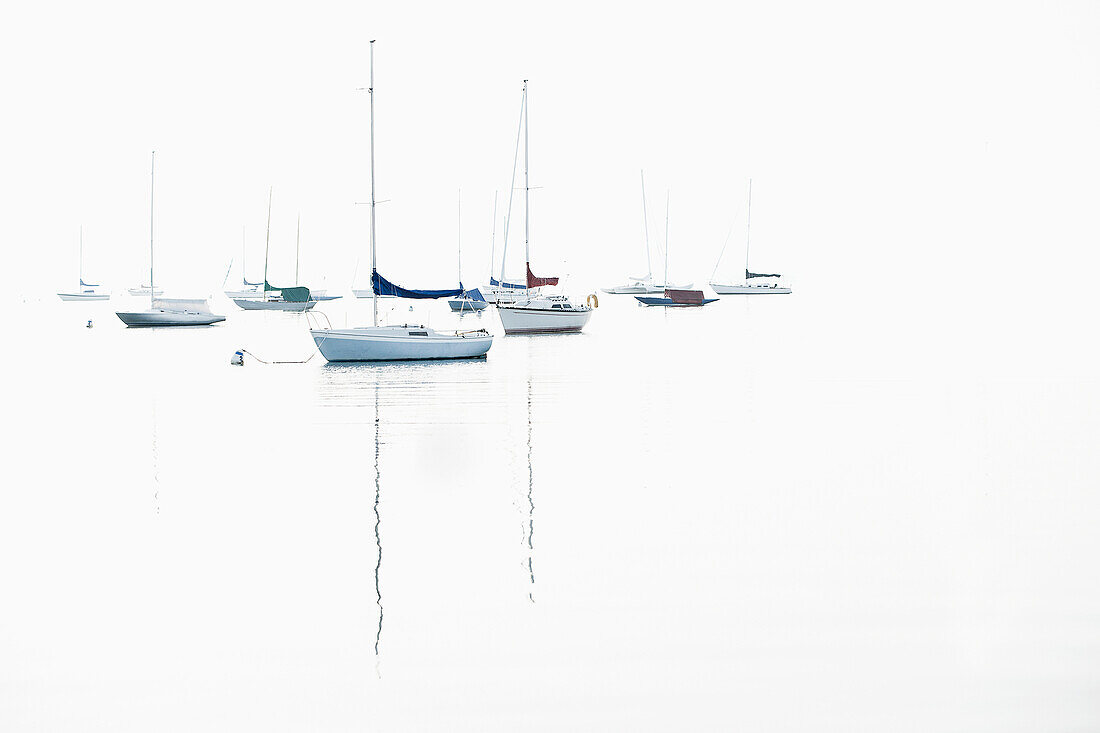 Boat masts reflecting in water, Harbor Springs, Michigan, USA
