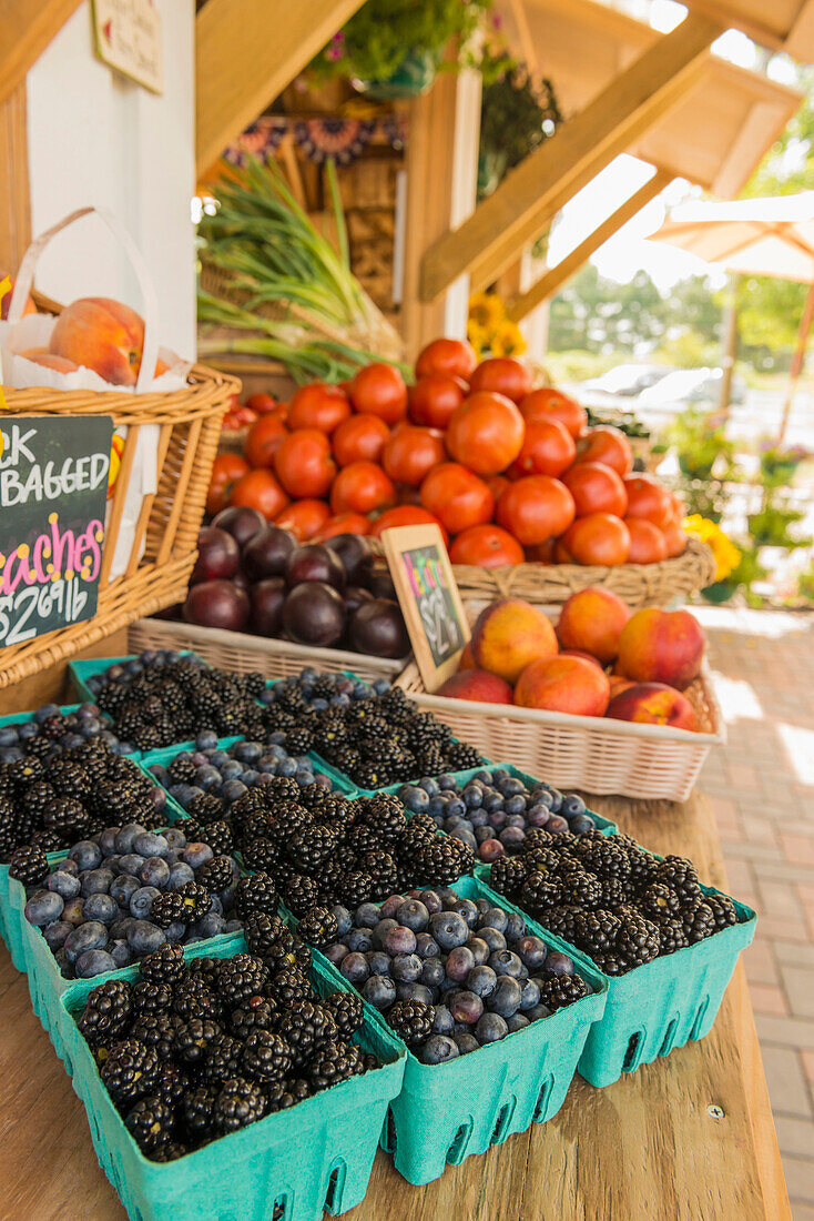 Berries at farmers market, Virginia Beach VA, VA, USA