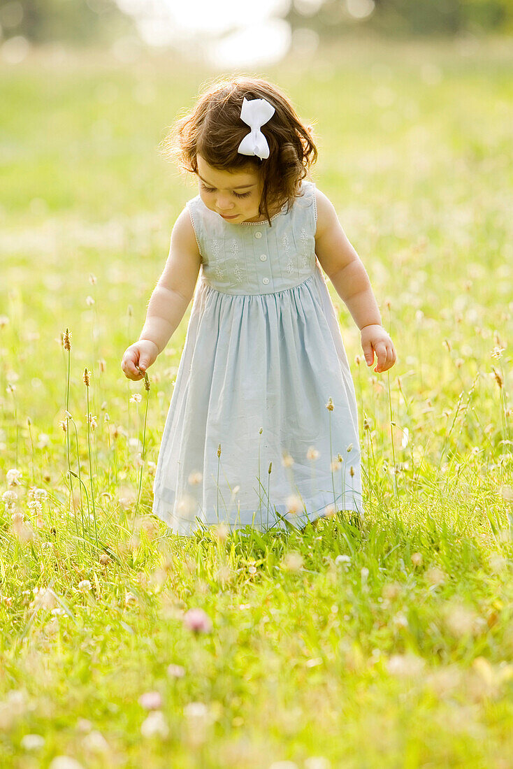 Caucasian girl picking flowers in field, Saint Louis, MO, USA