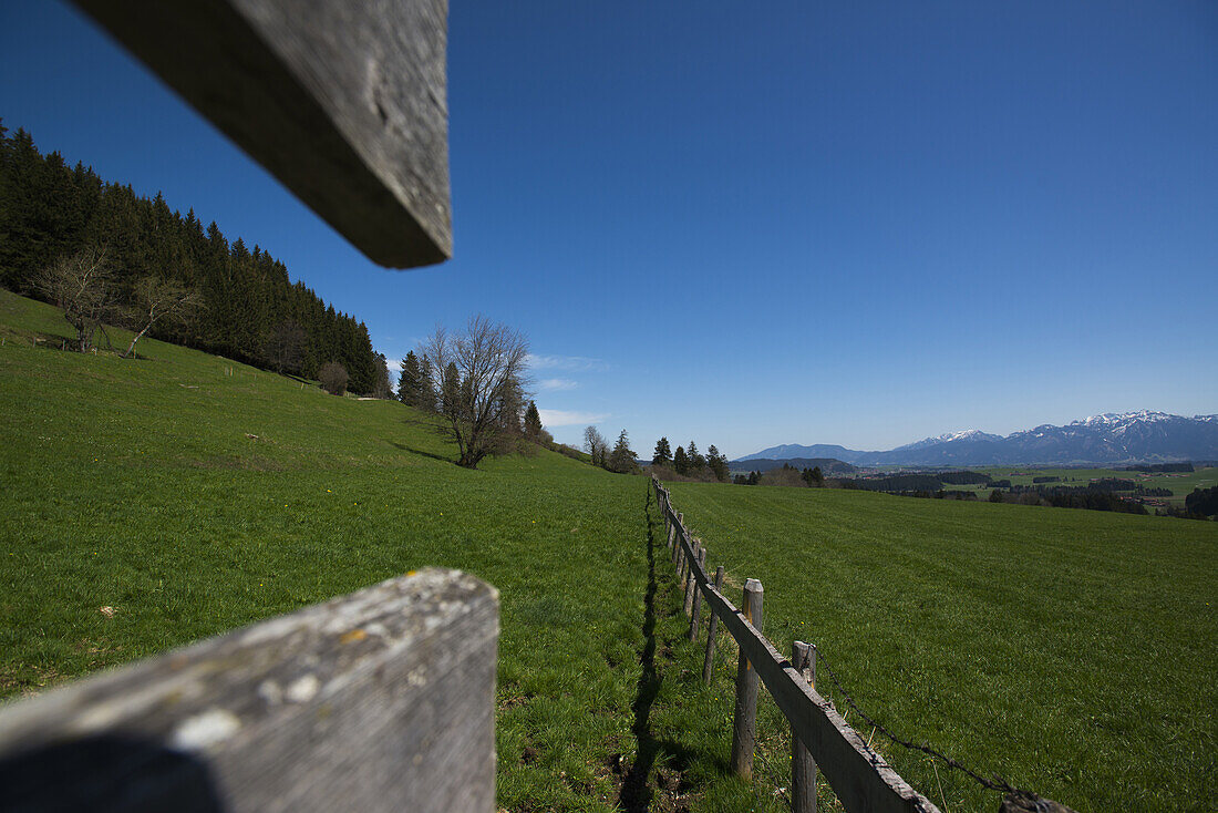 Wooden fence on a mountain meadow in Allgaeu, Eisenberg, Allgaeu, Bavaria, Germany