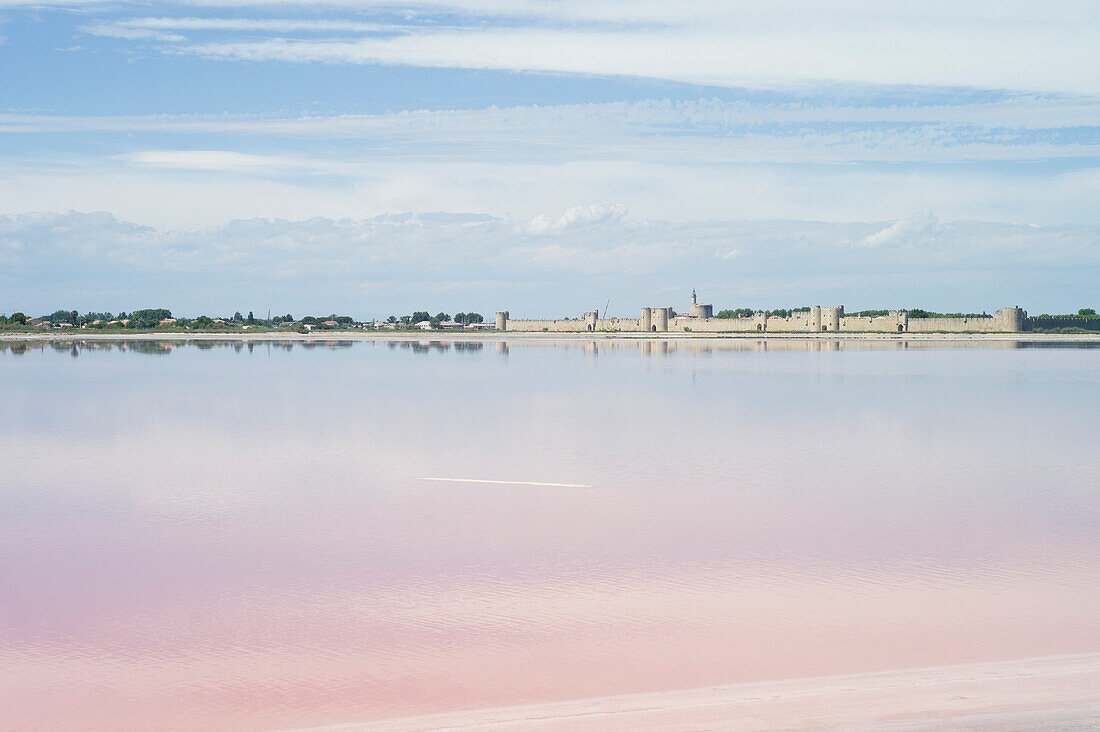 Salt marshes near Aigues-Mortes, Camargue, Gard, Languedoc-Roussillon, France
