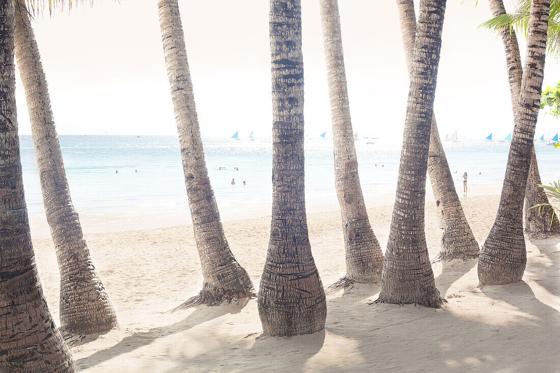 Strand mit Palmen, Boracay, Philippines, Asien