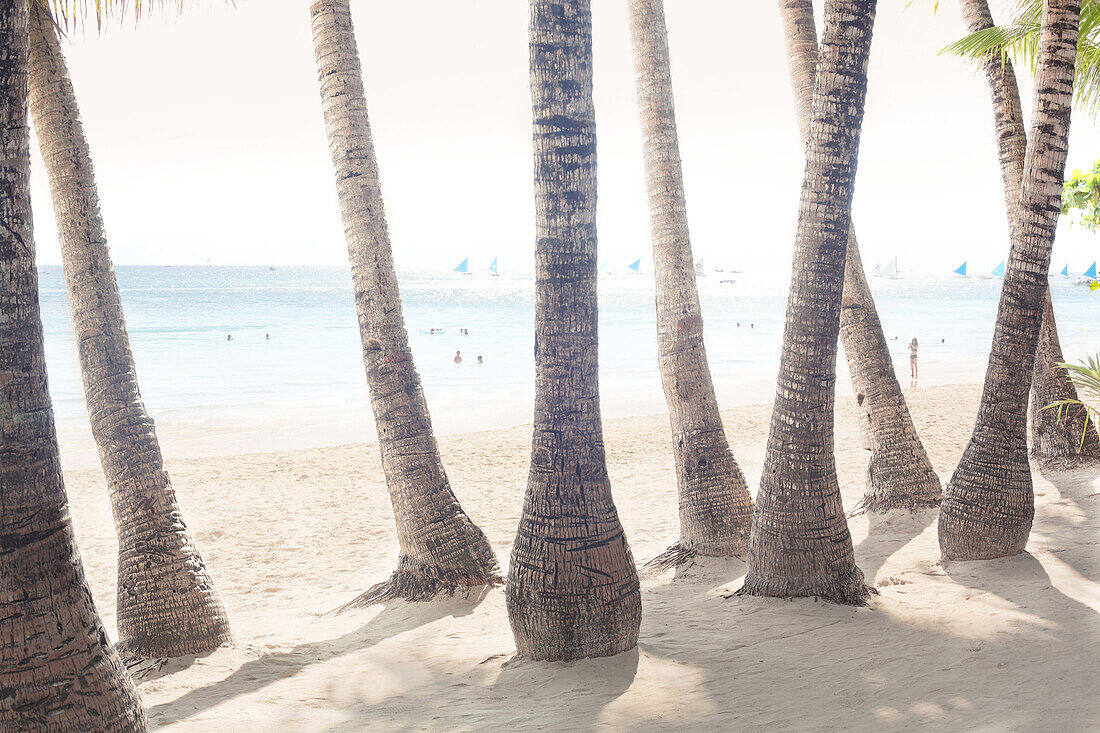 White Beach with Palm trees, Boracay, Philippines, Asia