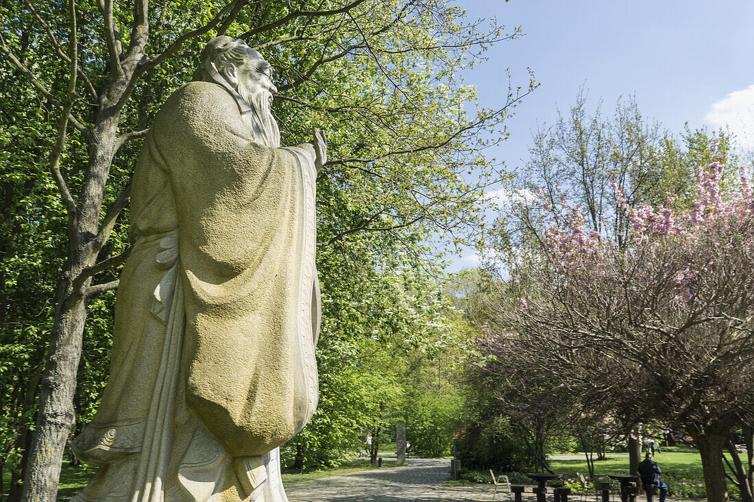 Kirschblüte in den Gärten der Welt in Berlin Mazahn, Konfuzius Statue, Berlin, Deutschland