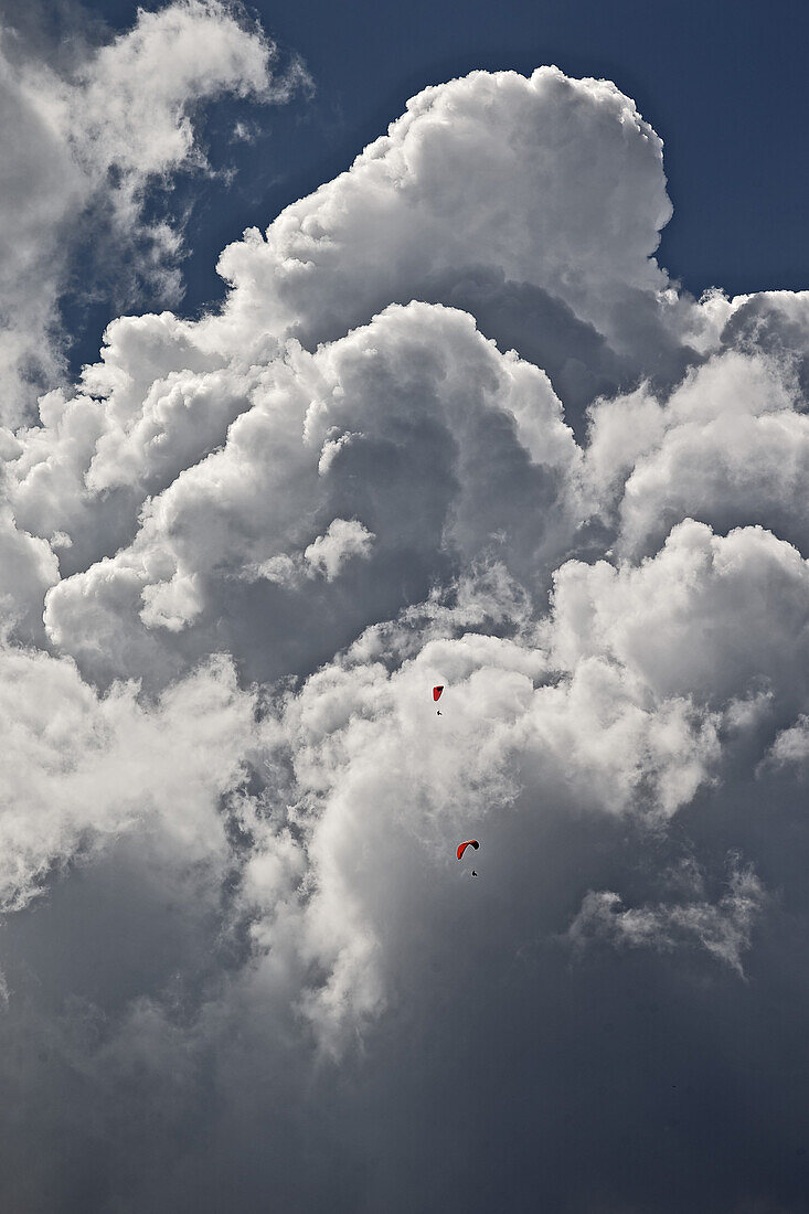 Gleitschirmflieger in der Luft vor einer gewaltigen Wolke, Tannheimer Tal, Tirol, Österreich