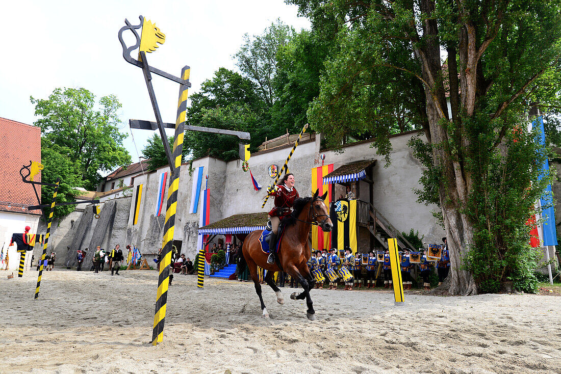 gymkhana at castlefestival, Neuburg at Danube, North-Upper Bavaria, Bavaria, Germany