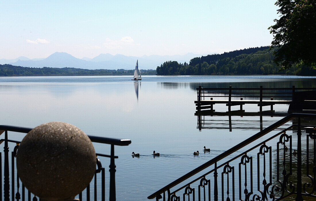 Waginger See bei Waging, Rupertiwinkel, Oberbayern, Bayern, Deutschland