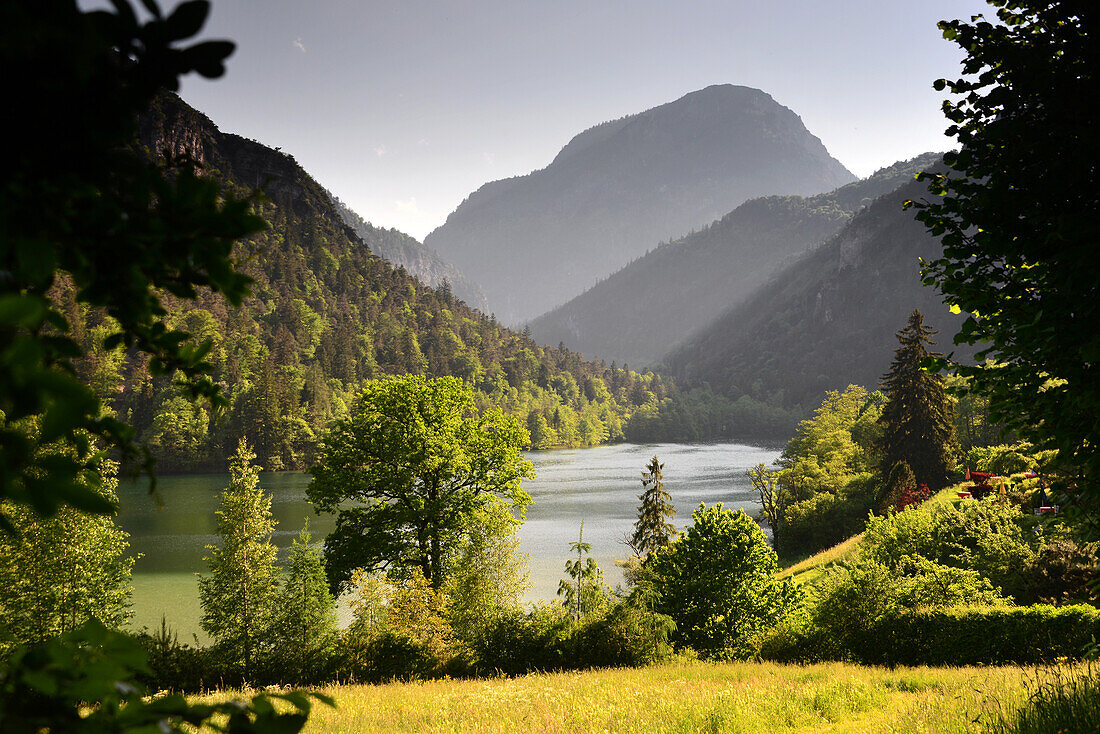 Lake Thum near Bad Reichenhall, Berchtesgaden, Upper Bavaria, Bavaria, Germany