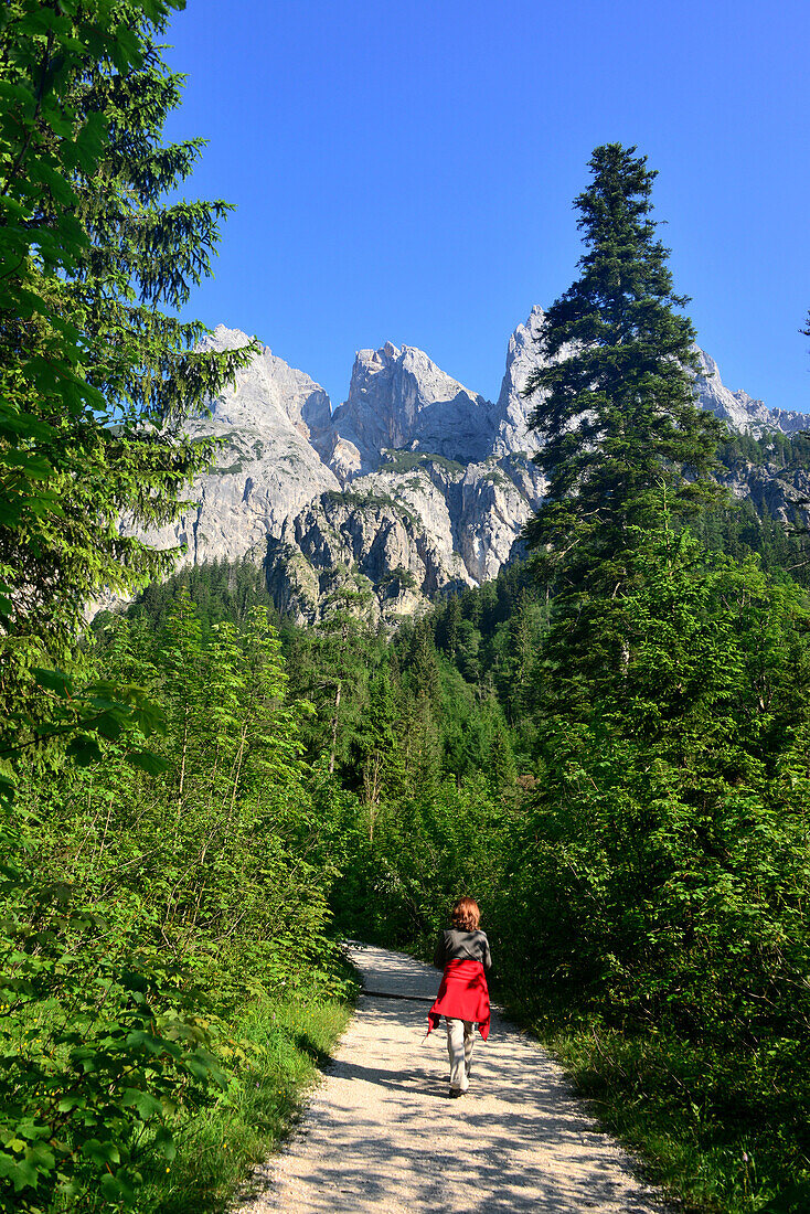 Wandern im Klausbachtal im Nationalpark bei Ramsau mit Mühlsturzhörnern, Berchtesgadener Land, Bayern, Deutschland