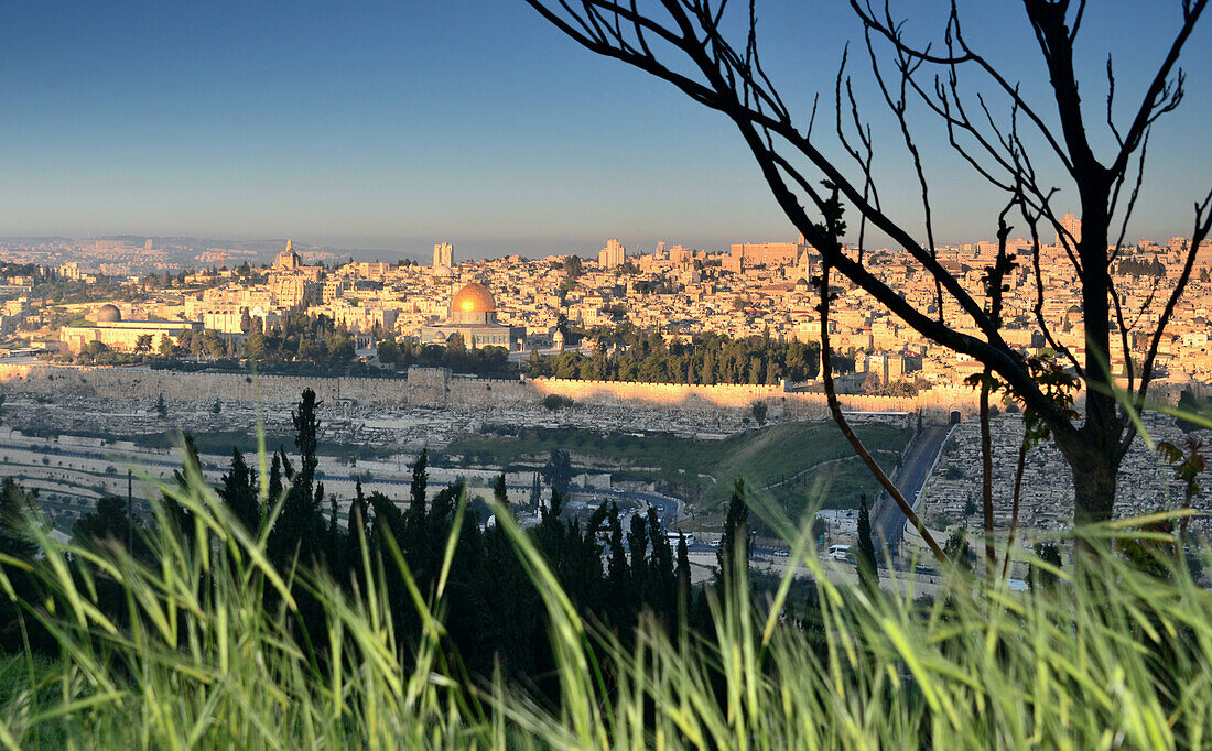 Blick von Osten auf die Altstadt von Jerusalem und Felsendom, Israel