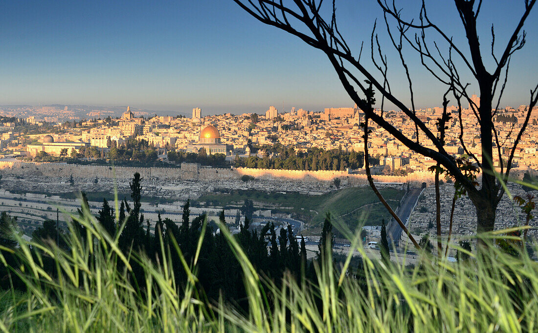 View from the east to the old town and Dome of the Rock, Jerusalem, Israel