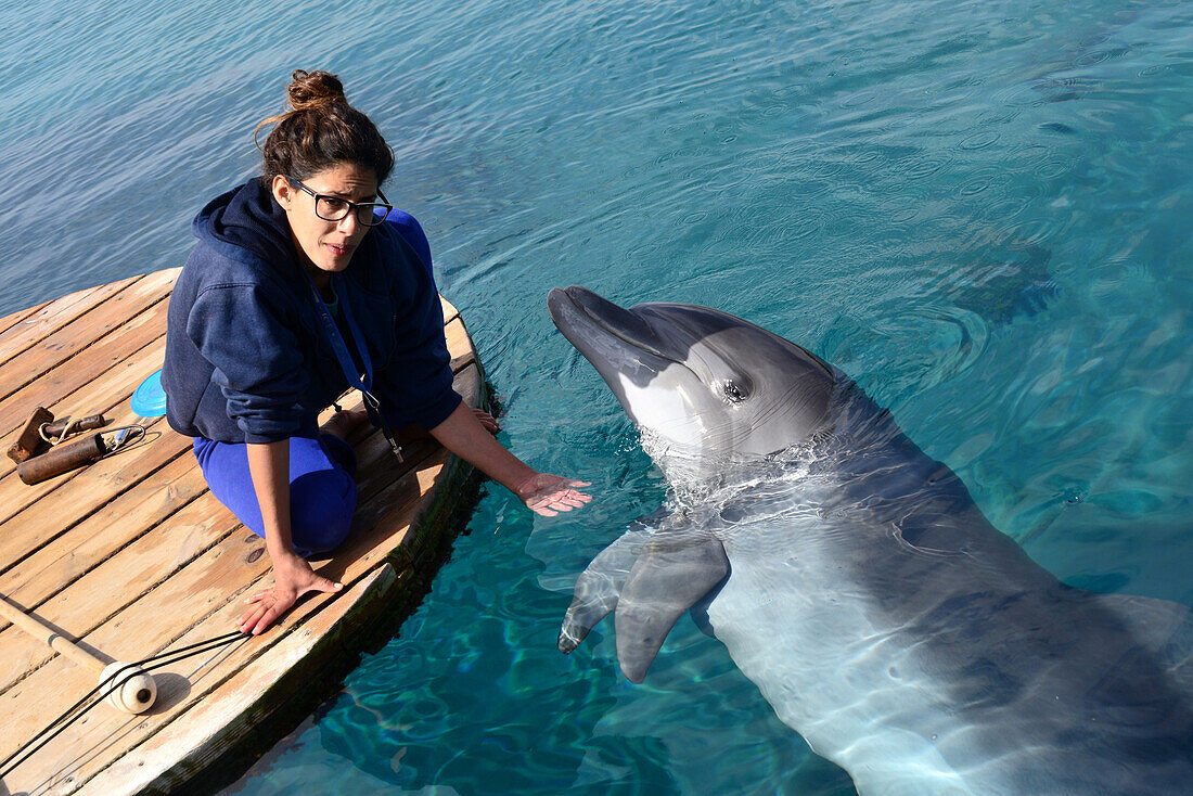 Dolphin Reef bei Eilat am Roten Meer, Bucht von Akaba, Süd-Israel, Israel