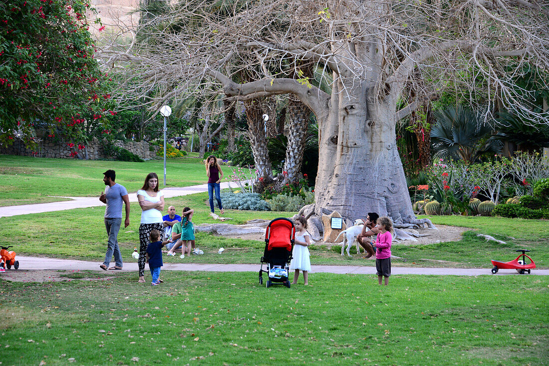 In Kibbutz Ein Gedi at the dead sea, Israel