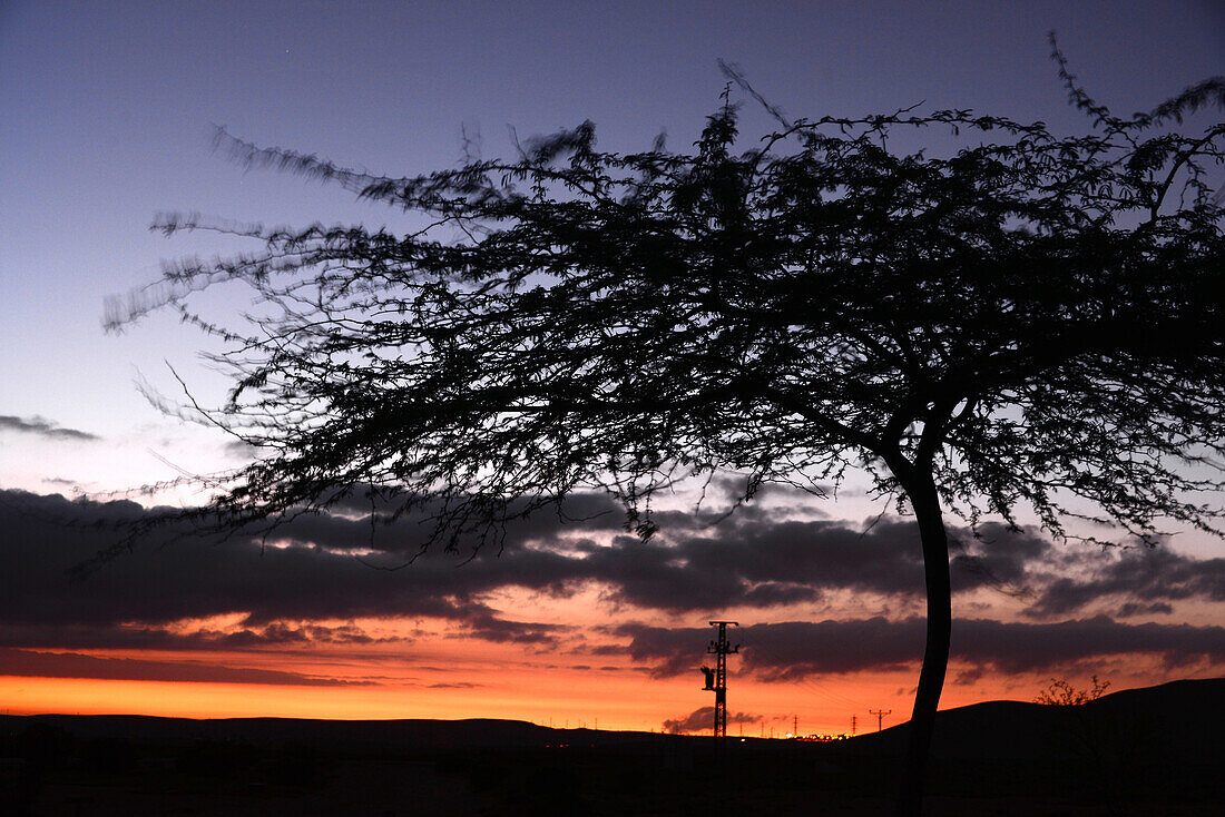 Sonnenuntergang bei Mamshit in der Wüste Negev, Süd-Israel, Israel