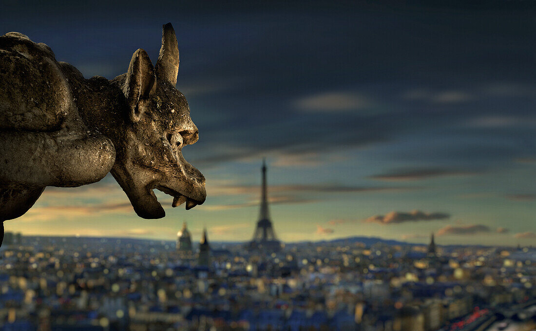 Gargoyle watching over the skyline of Paris in the evening, Notre Dame de Paris, Eiffel Tower in the background, Ile de France, Ile de la Cite, Paris, France, Europe