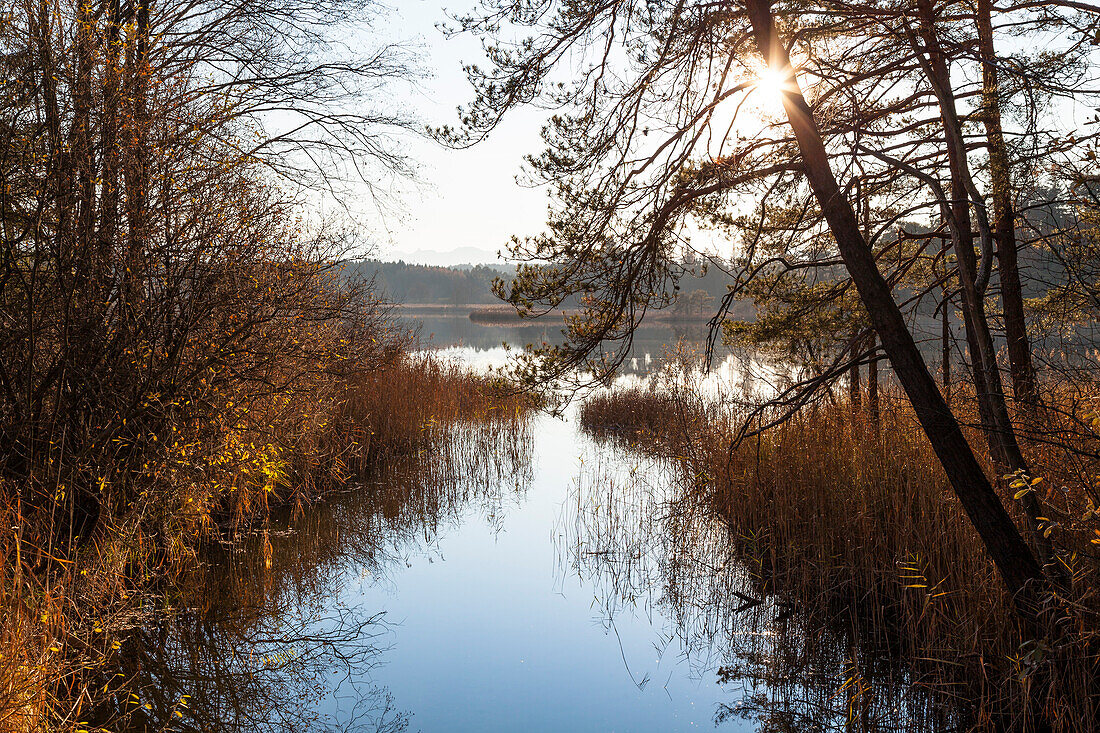 autumn at lake, Upper Bavaria, Germany