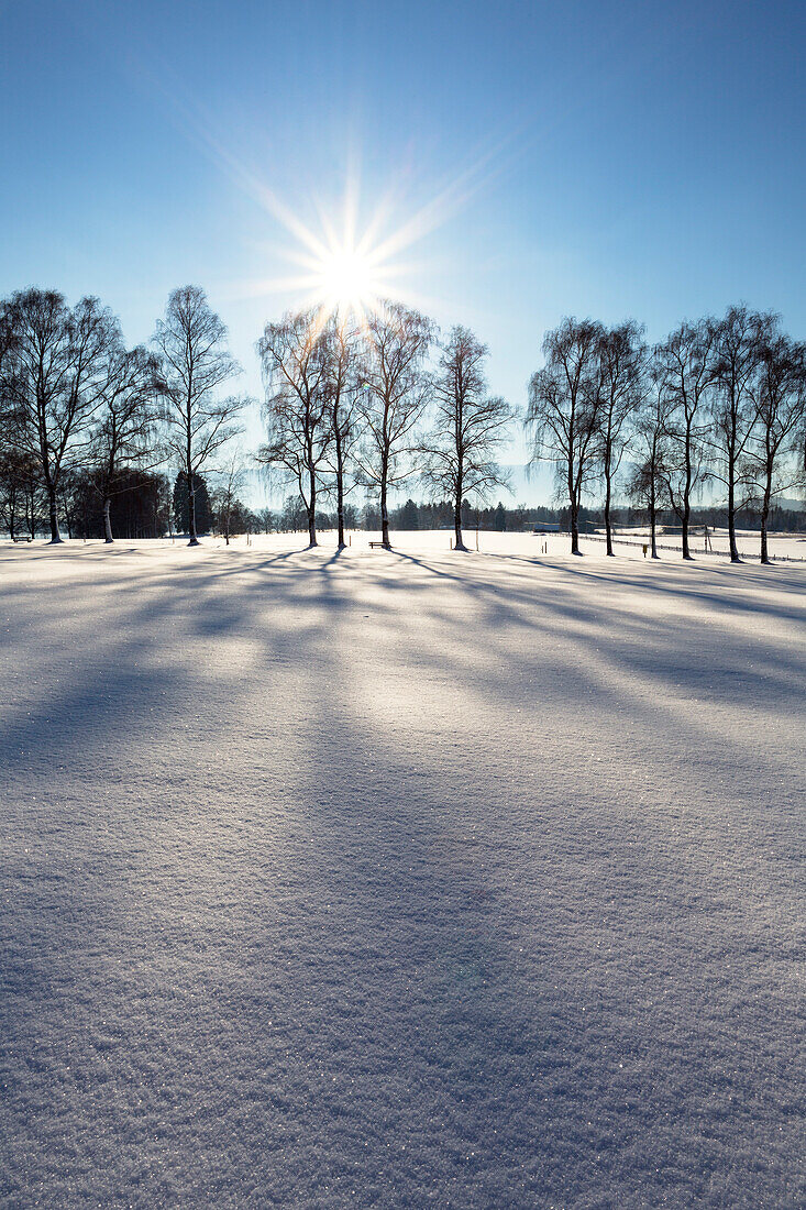 Winterscenery near Uffing at lake Staffelsee, Upper Bavaria, Alps, Germany