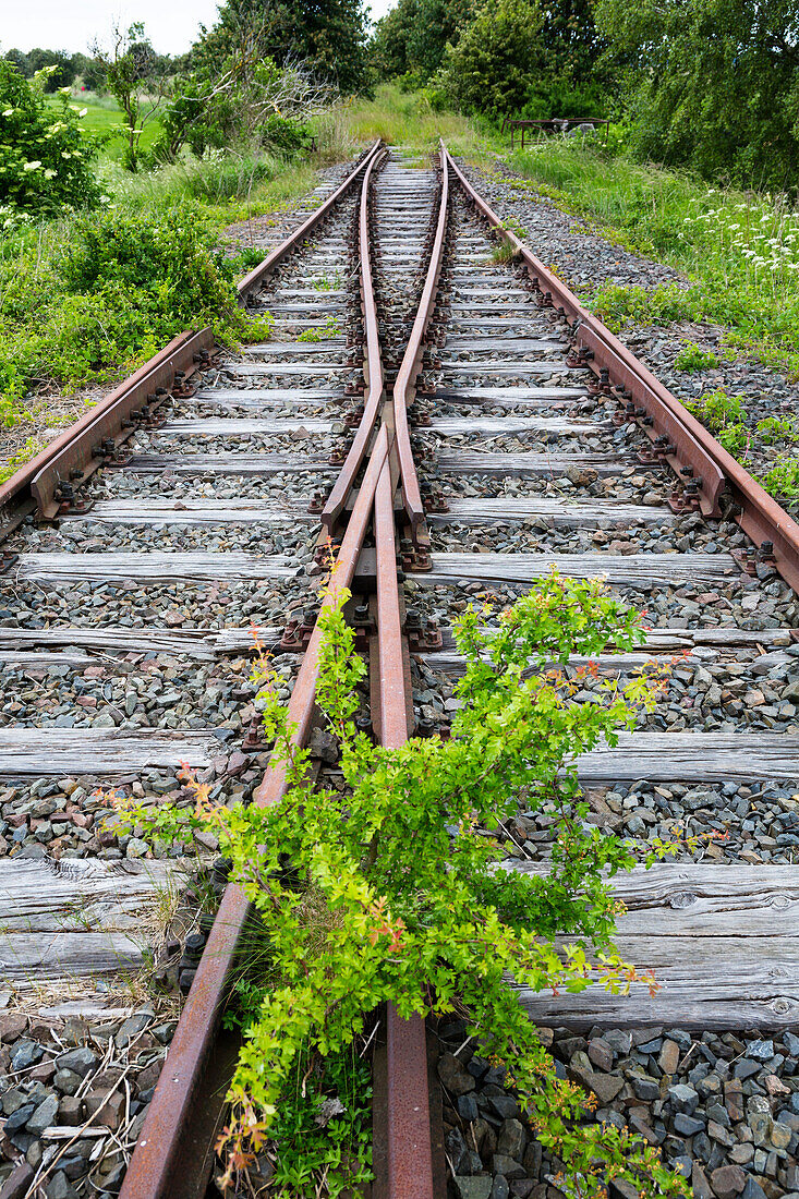 railway lines ending, Zingst,  Mecklenburg-Vorpommern, Germany, Europe