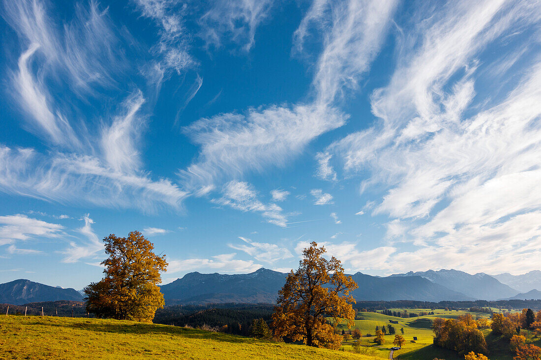 Blick von der Aidlinger Höhe auf die Alpen, Oberbayern, Deutschland, Europa