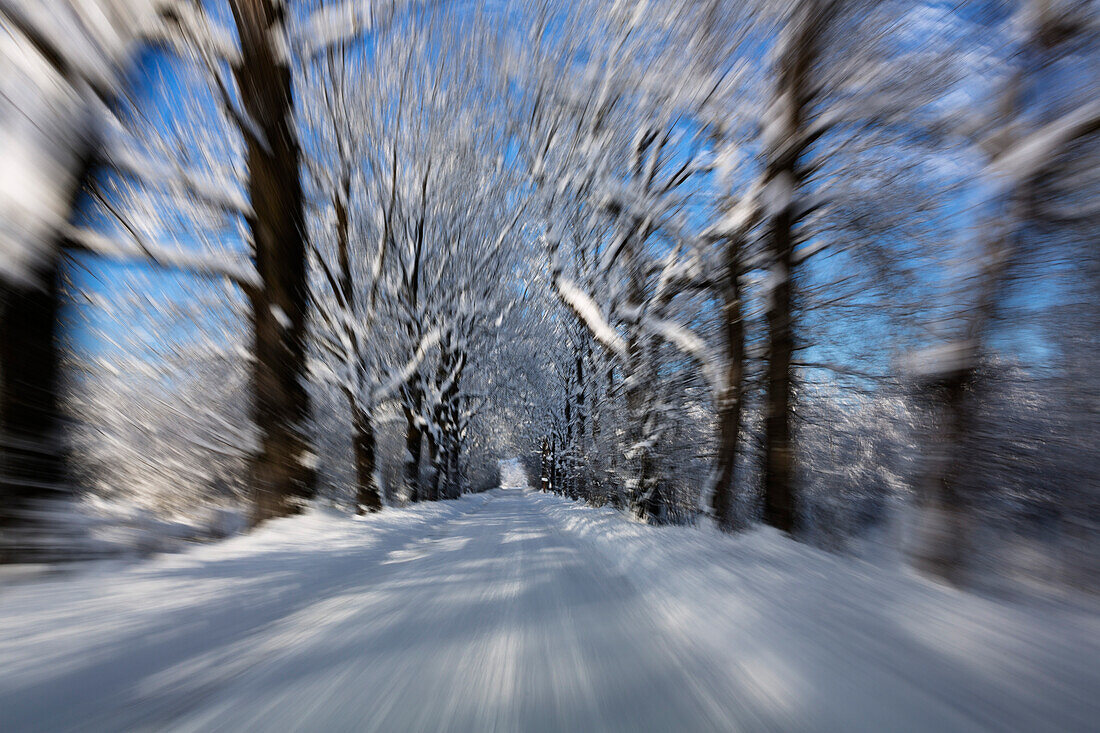 Alle im Schnee, Winterlandschaft bei Benediktbeuern, Oberbayern, Deutschland