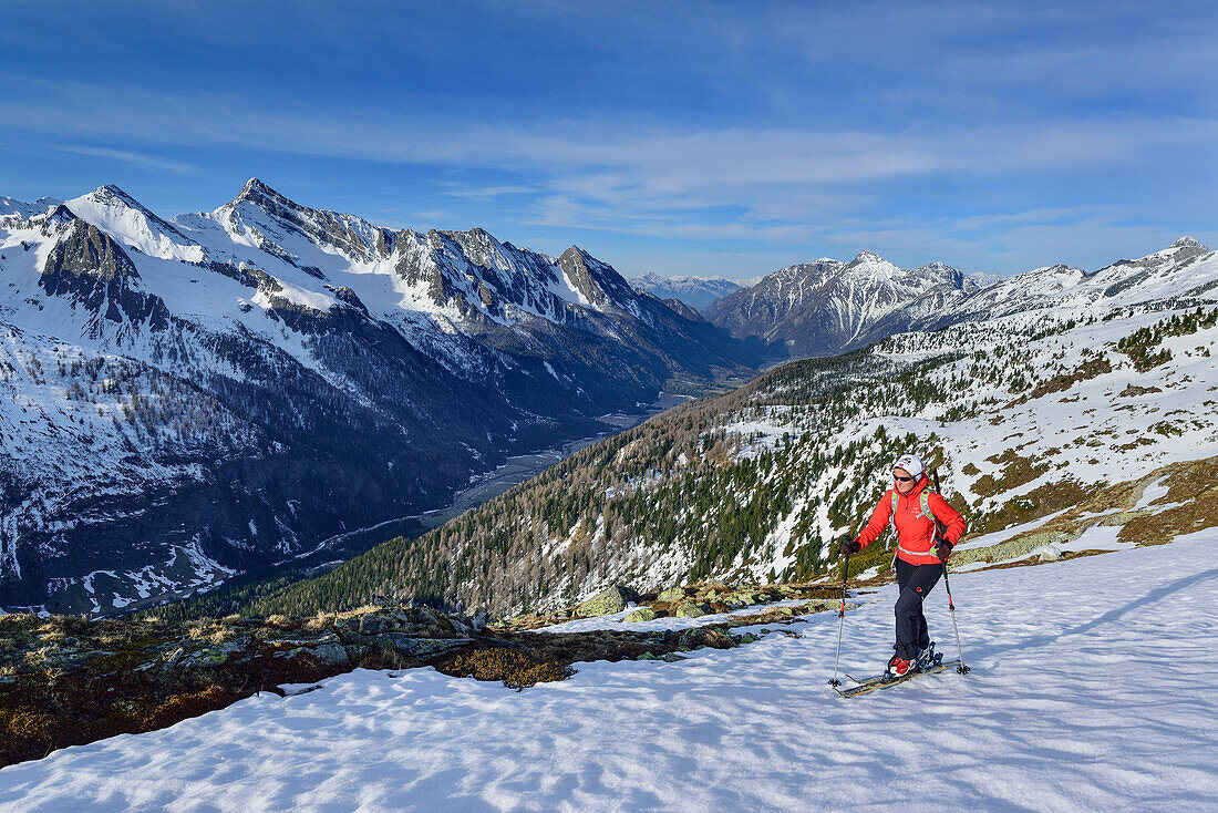 Frau auf Skitour steigt zum Schrammacher auf, Pfitschtal im Hintergrund, Schrammacher, Pfitschtal, Zillertaler Alpen, Südtirol, Italien